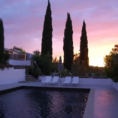 Bed and breakfast Of The Palms