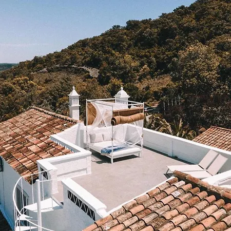 Bed & Breakfast Of The Palms